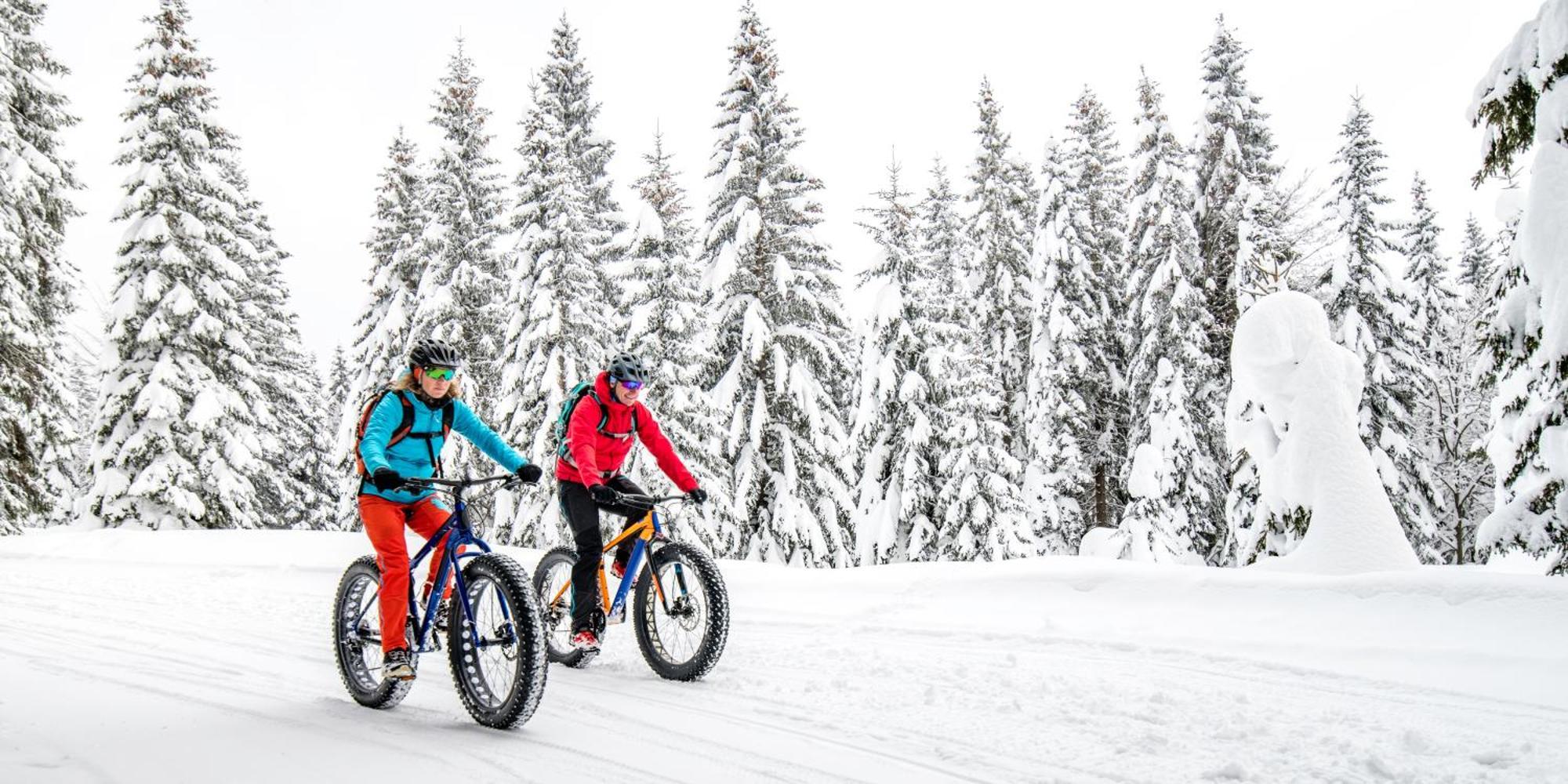 Talkeetna Aerie Adventure Lodge Екстер'єр фото