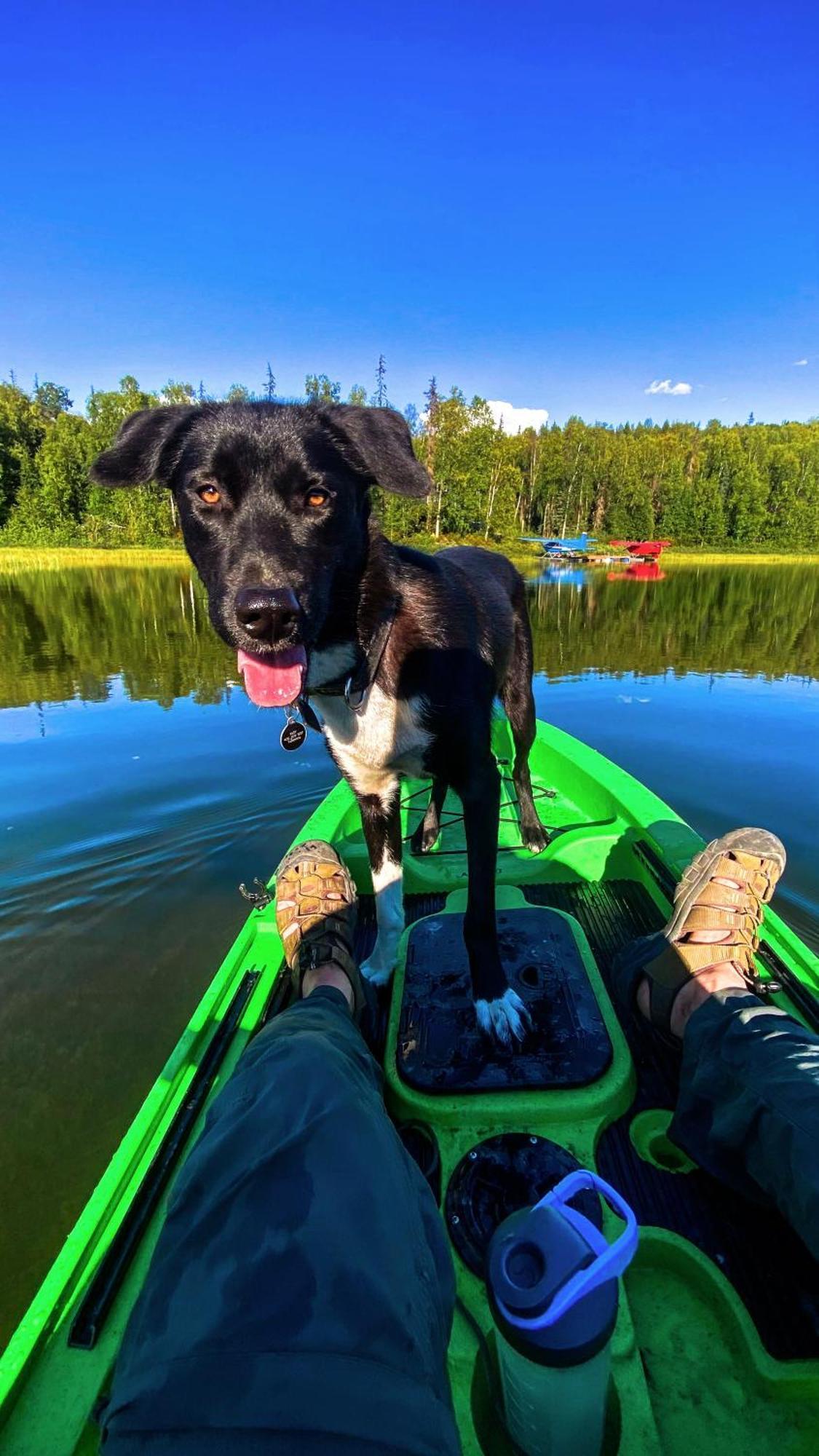 Talkeetna Aerie Adventure Lodge Екстер'єр фото