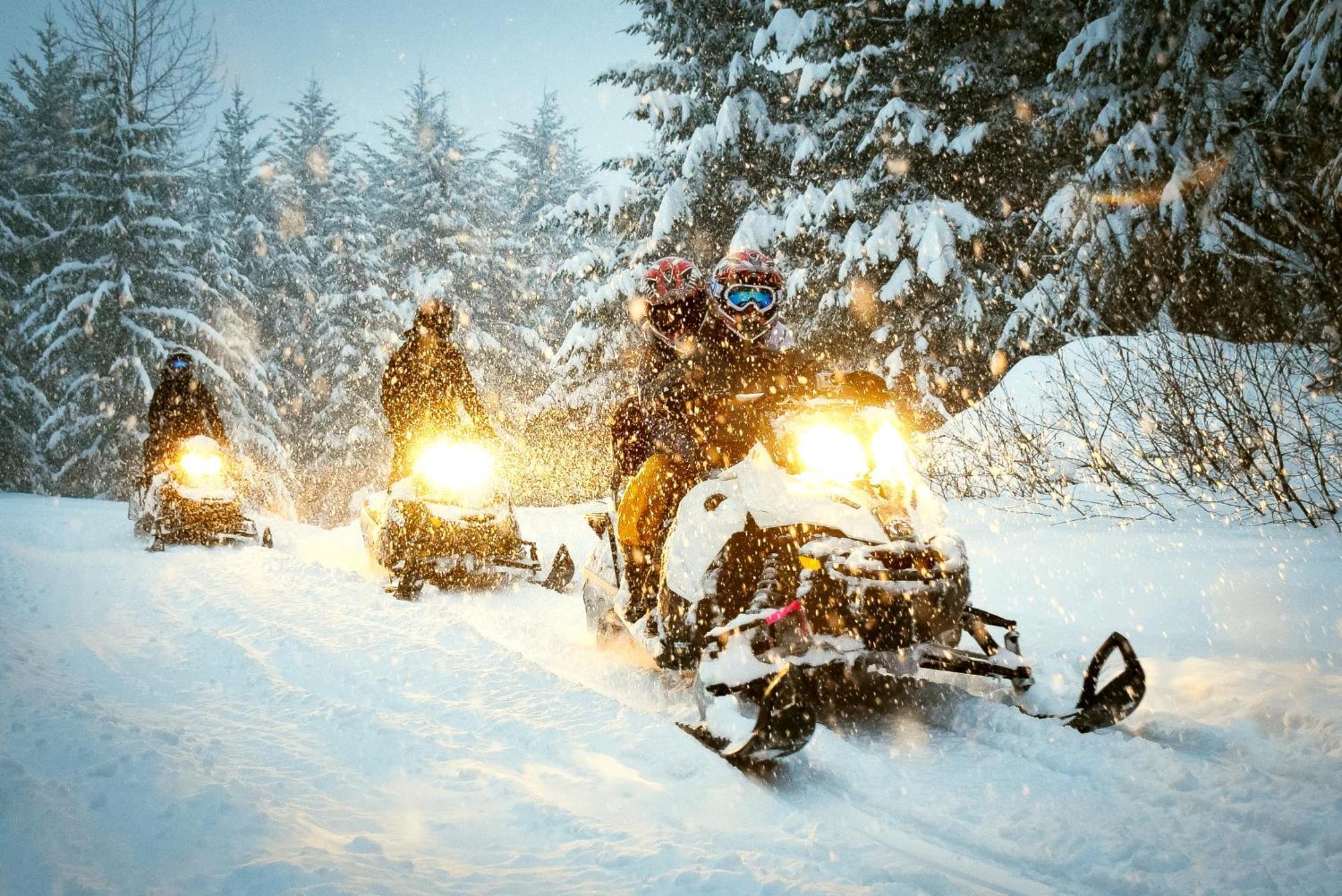 Talkeetna Aerie Adventure Lodge Екстер'єр фото
